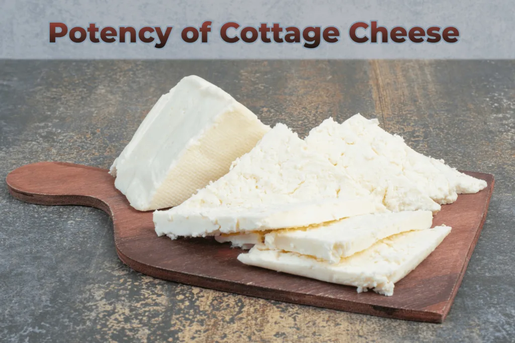 Cottage Cheese Nutrition Facts and Health Benefits